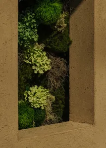 a concrete window with various types of green plants growing through it