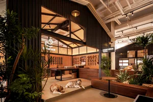 Indoor dog-friendly cafe with wooden furniture, metal accents, concrete floor, and green plants