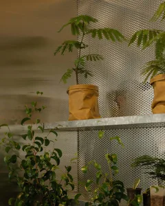 A paper planter in an industrial setting showcasing green plants.