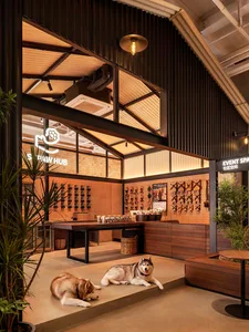 Two husky dogs lying on the floor of a minimalistic shop interior with industrial design elements.