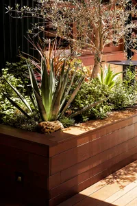 A modern plant display featuring a wooden planter with various plants and a rock element.
