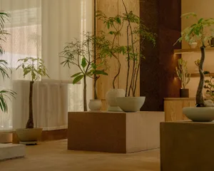 現代室內設計，展現混凝土植栽展示，呈現俐落線條與極簡美學。