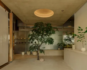 A retail space featuring concrete walls and floors with plants and shelves.