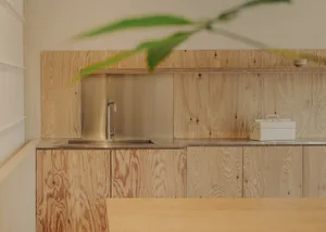 A modern kitchen featuring wooden cabinets and a stainless steel sink.