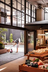 A modern retail storefront featuring concrete and glass elements.