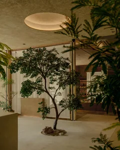 A minimalist spa interior with wooden elements and green plants.