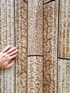 Human hand touching a vertically oriented wooden panel with a distinctive, organic pattern