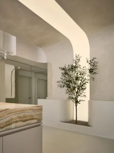 An interior space with smooth, white plaster walls and arches, minimalistic design, and a potted plant.