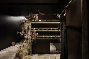 Minimalist spa interior featuring dark wooden walls and shelves with glass bottles and dried plants.