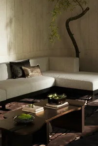 Modern living room with a white sectional sofa, a contemporary coffee table with books and decorative items, and a small indo