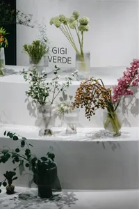 A collection of glass vases and plant arrangements displayed on a white surface, showcasing a modern indoor garden aesthetic.