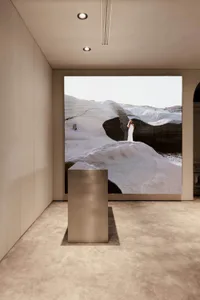 Modern, white, minimalist interior with a woman standing on a large rock in a landscape.