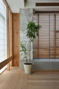 A modern interior featuring concrete and wooden elements with a potted plant in the corner.