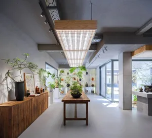 This image depicts an industrial-style garden center interior with concrete walls and a minimalist design focused on showcasi
