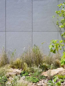 A modern wall made of concrete with greenery growing at its base.