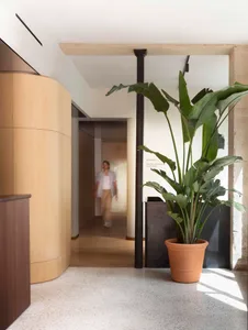 A modern entryway with a terrazzo floor and a potted plant.
