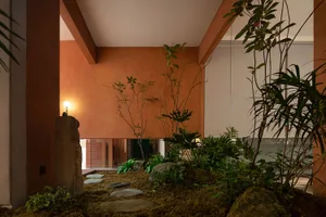 An indoor garden featuring minimalistic design elements.