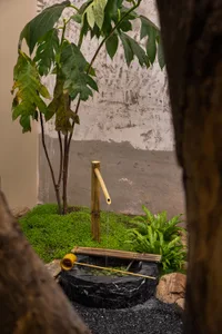 A serene Japanese garden featuring a stone pond with flowing water, surrounded by bamboo and lush greenery.