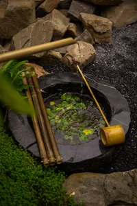 A stone water feature with rocks and water plants in a natural garden setting.