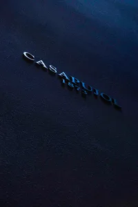 Black Casapujol 1873 alphabet on dark background
