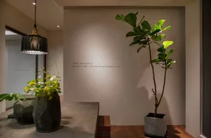 Concrete planter with green plant in a modern interior design setting.
