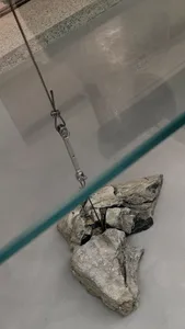 A metal turnbuckle and cables attached to rocks on a glass surface.