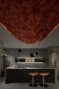 Modern minimalist commercial kitchen featuring metallic ceiling and sleek black cabinetry.