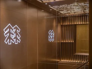 A modern elevator interior featuring a metallic cladding wall with illuminated patterns.