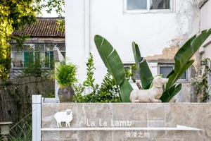 A minimalist residential patio featuring concrete surfaces and lush green plants.