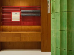 A minimalist design wooden wardrobe with red shelves and green vertical panels.