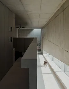 A minimalist residential corridor with concrete walls and floor, featuring a small dog walking along the light-filled area.