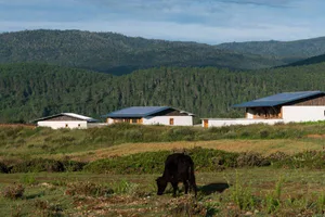Modern farmhouse with white exterior and green roof set against a backdrop of lush green fields and majestic mountains.