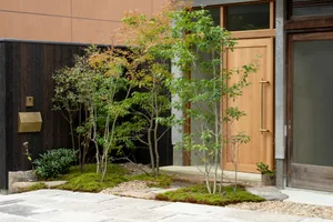 A minimalist entrance with a wooden door surrounded by greenery and a small tree.
