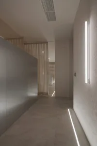 Modern minimalist corridor with grey concrete walls and floor, white ceiling, and long tube light fixture.