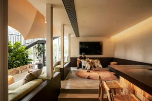 Modern living room with concrete floor, wooden benches, and two huskies playing on a brown rug.