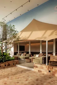 A modern interior design featuring a textured cement living room with a tree.