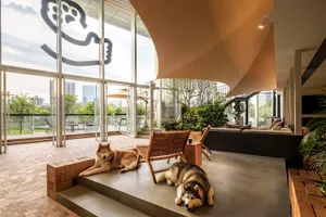 Modern living room with concrete flooring and furniture, featuring two husky dogs lounging.