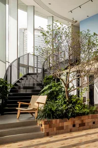 A modern lobby featuring a wooden chair and a tree in a container.