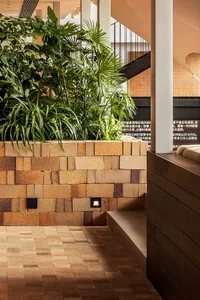 Modern retail space with brick flooring, plants, and wooden seating.
