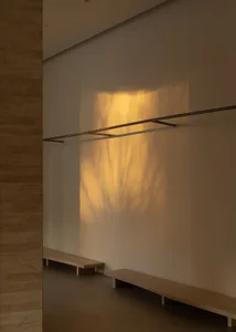 A minimalist interior with a metal lamp casting a shadow on a wall.