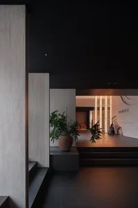 A minimalist interior space featuring concrete walls, a large potted plant, and a low-lit atmosphere.