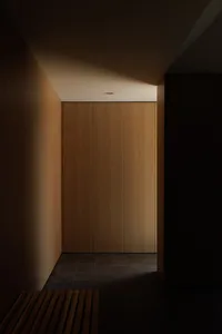 A modern minimalist walk-in closet featuring dark wood storage units.