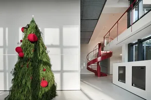 A large Christmas tree decorated with red baubles next to a white wall.
