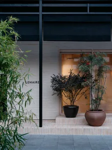 A minimalist storefront with brick walls, glass windows, and a plant in a ceramic pot