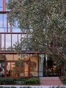 A modern building exterior featuring large glass windows and a mature tree outside.