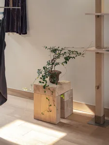 A modern wooden porch with a plant on a wooden pedestal.