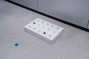 A minimalist artwork displayed on a floor, consisting of foam balls in various colors arranged on a foam base.