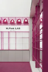 Pink bags displayed on acrylic shelves within a retail design setting.