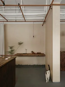 A minimalist industrial office space featuring a concrete desk, exposed pipes, and a cat