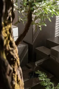 Modern entryway featuring concrete stairs and greenery, with a minimalist design.